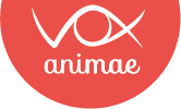 logo_vox_animae